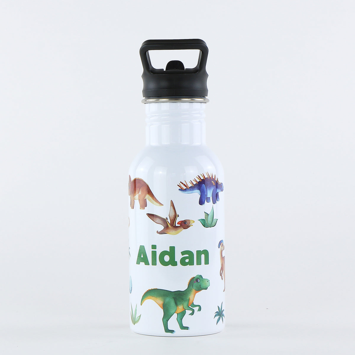 Personalised Single Wall Pookie Water Bottle - 500ml - Dinosaurs