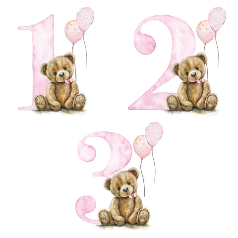 Birthday Tracksuit - Pink Teddy