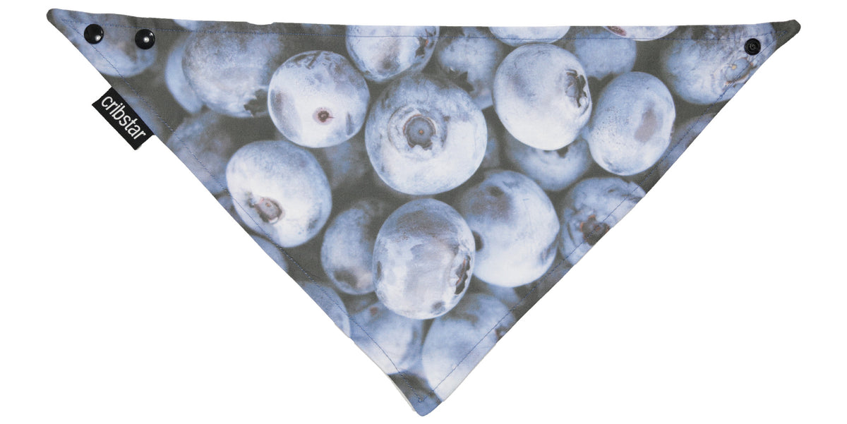 Blueberries Bib