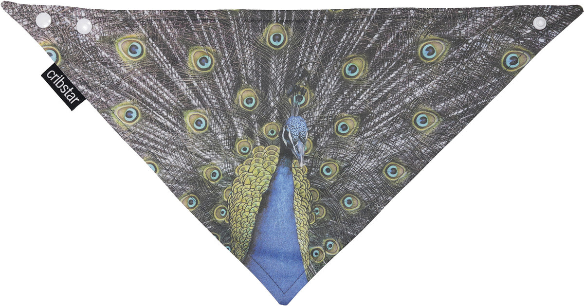 Peacock Bib