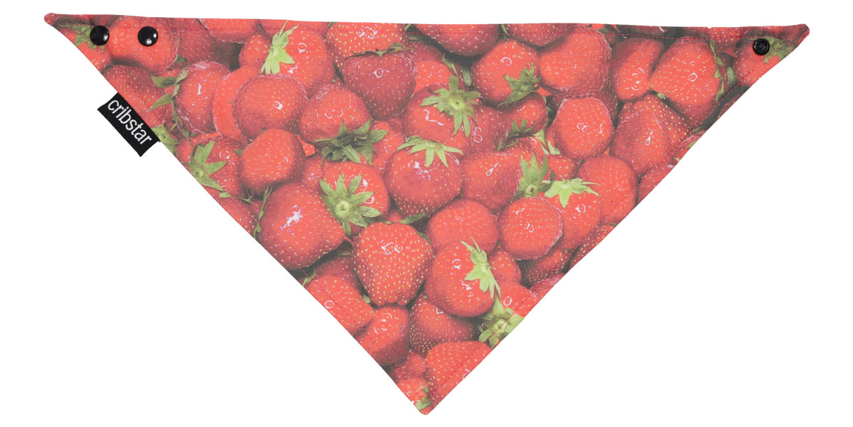 Strawberries Bib